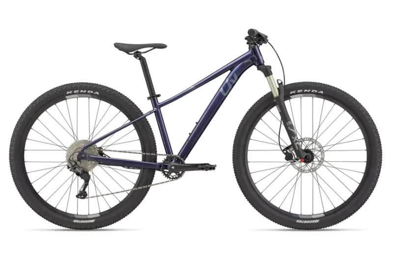 Giant LIV Tempt 1 [29"] M Milky Way