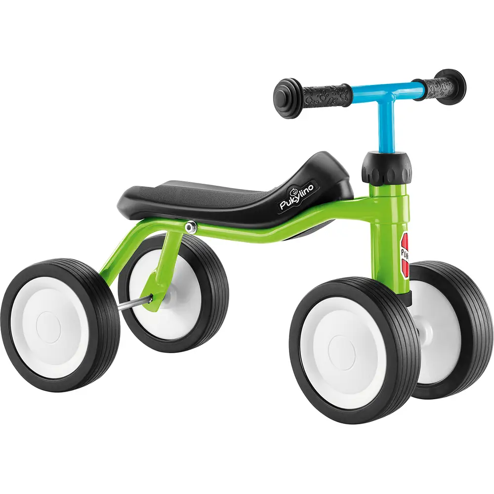 Pukylino kiwi