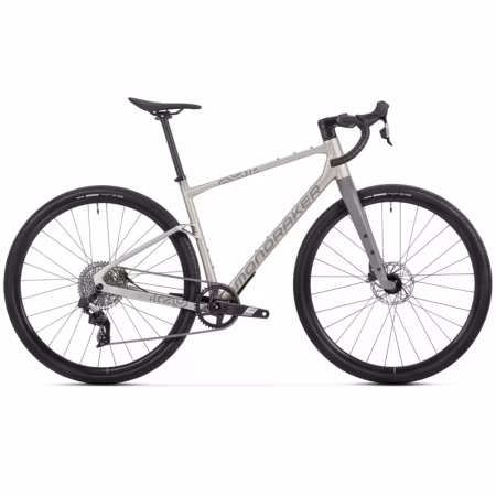 Mondraker Arid R golden silver
