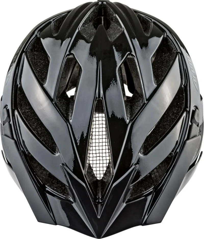 Alpina PANOMA CLASSIC black gloss 02