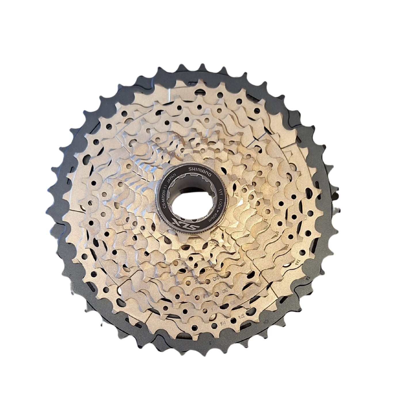 916844d7 5b7c 425f 99f9 03332a668e14 20251120 152748 0000 resized