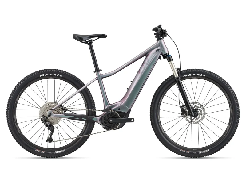 409676 liv vall e 2 echeveria boerkop cykler 1729148549 resizewidth 1200