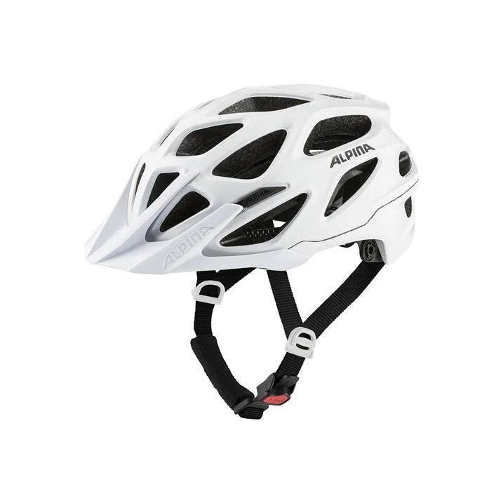 Alpina Thunder 3.0 white gloss Front