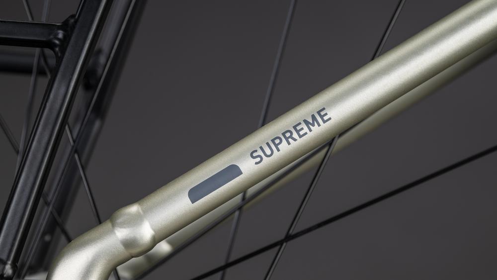 Cube Supreme RT Hybrid Comfort EXC 600 champagne´n´grey Logo