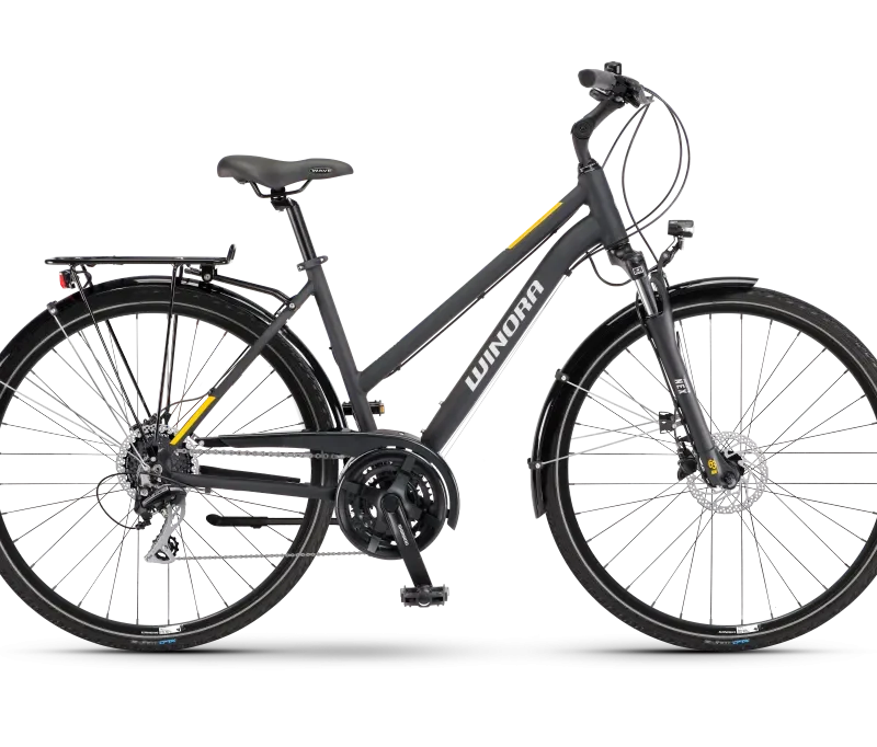 Win22 Domingo 24 mid black