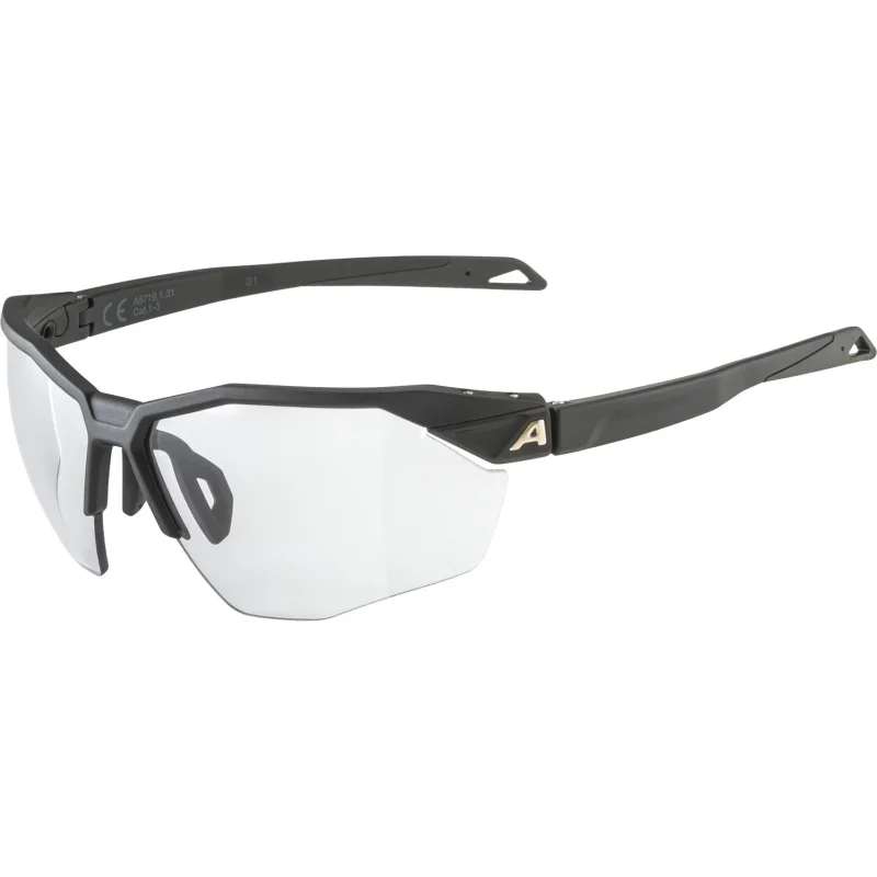 61841059800a Alpina Twist Six HR V Sonnenbrille black matt