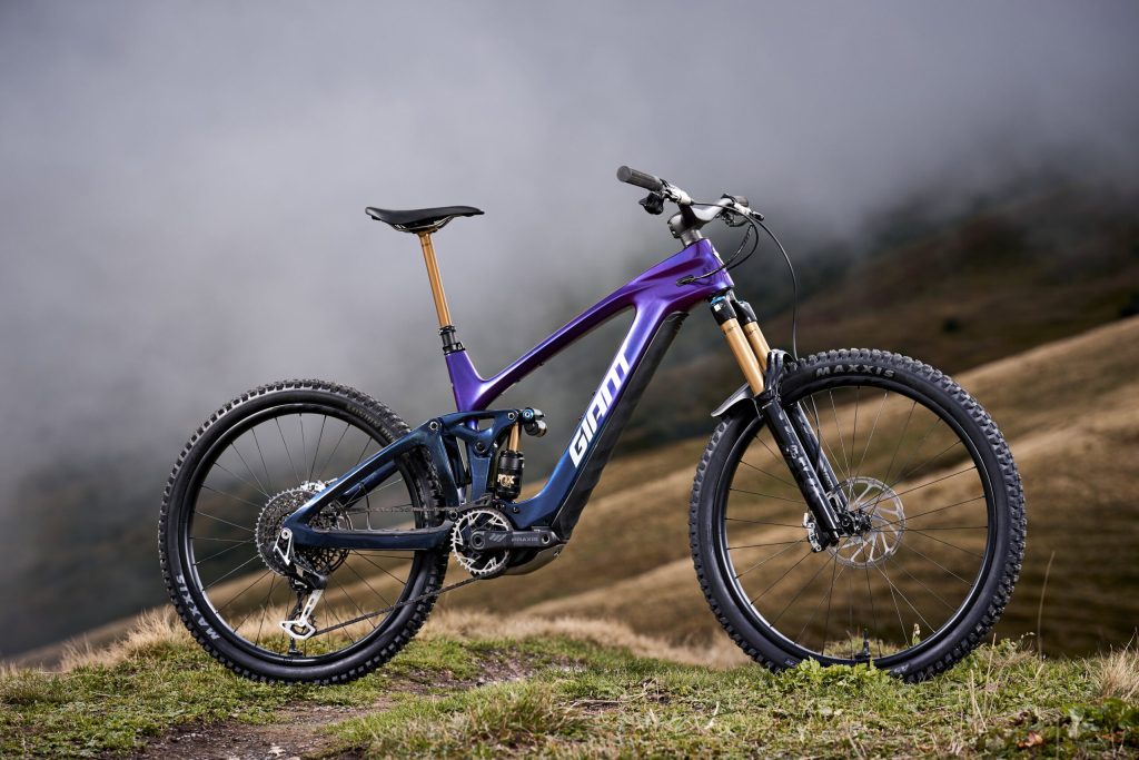 GIANT REIGNE 2025 ©DamienRosso 6254 copie 1 scaled