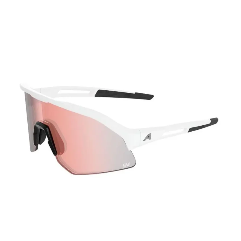 055399a71c5b Alpina Sonnenbrille Sonic HR M Qv