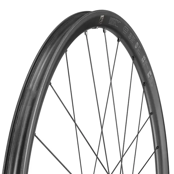 55c3614b5fc0 Campagnolo Paar Raeder Speed 25