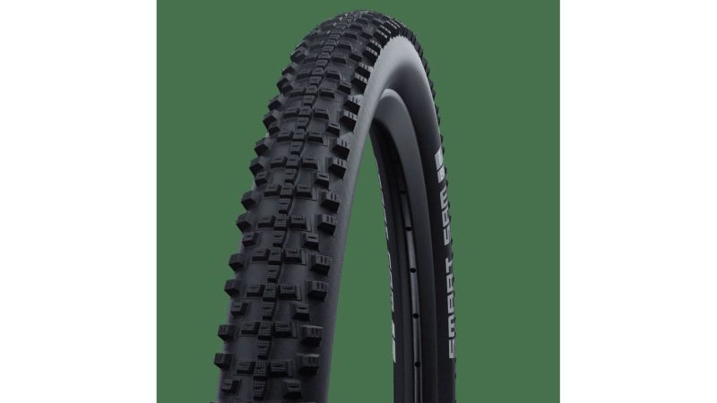 611f06894d73 Schwalbe Smart Sam Performance 24