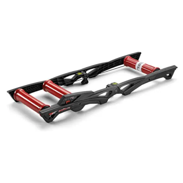 7b9e1a463846 Elite Heimtrainer Arion mag roller