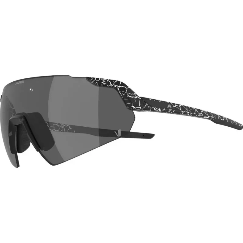 9a4fade15659 Alpina Sonnenbrille Turbo Air V