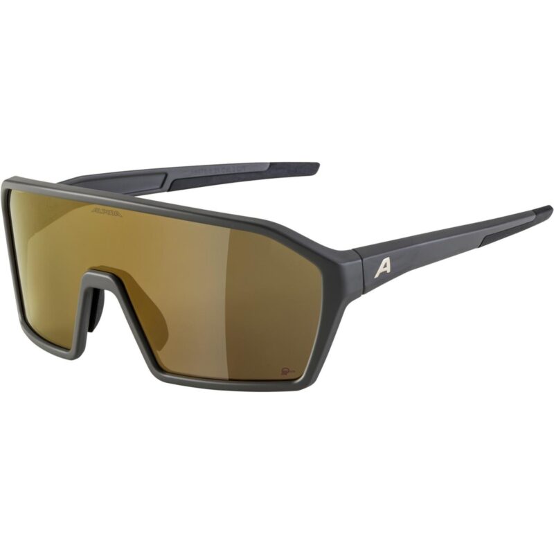 a37cd8422fa4 ALPINA RAM Q LITE Sportbrille