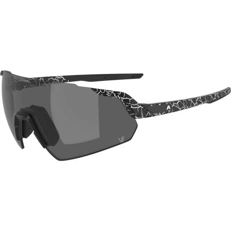 bbed6b799717 Alpina Sonnenbrille Turbo Air V