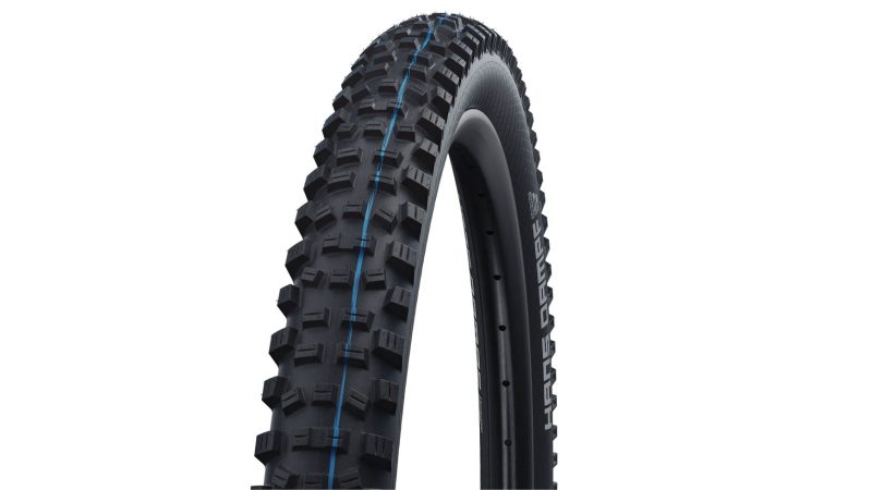 f0bac18638c1 Schwalbe Hans Dampf Evo ST 275