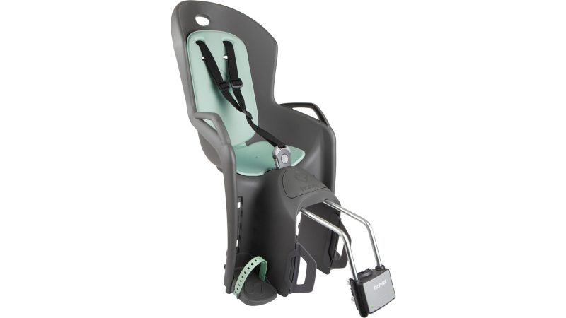 hamax kindersitz amiga